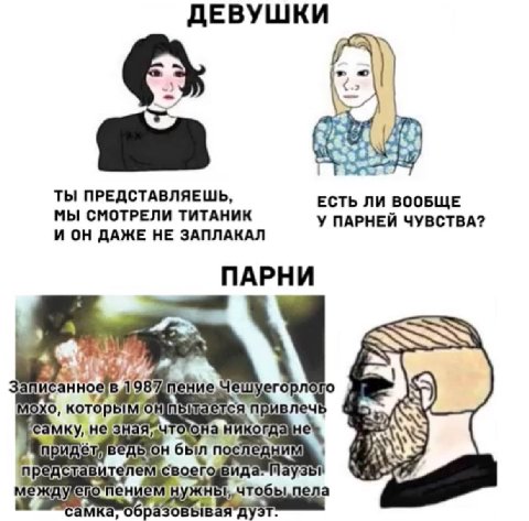 ДЕВУШКИ Lad ТЫ ПРЕДСТАВЛЯЕШЬ, ЕСТЬ ЛИ ВООБЩЕ МЫ СМОТРЕЛИ ТИТАНИК У ПАРНЕЙ ЧУВСТВА? И ОН ДАЖЕ НЕ ЗАПЛАКАЛ ПАРНИ a! в Чешуег. ивлеч которь Or] ается мку, He ОТО огдазне 0 был след А и Sue своег нуж „ЧТО