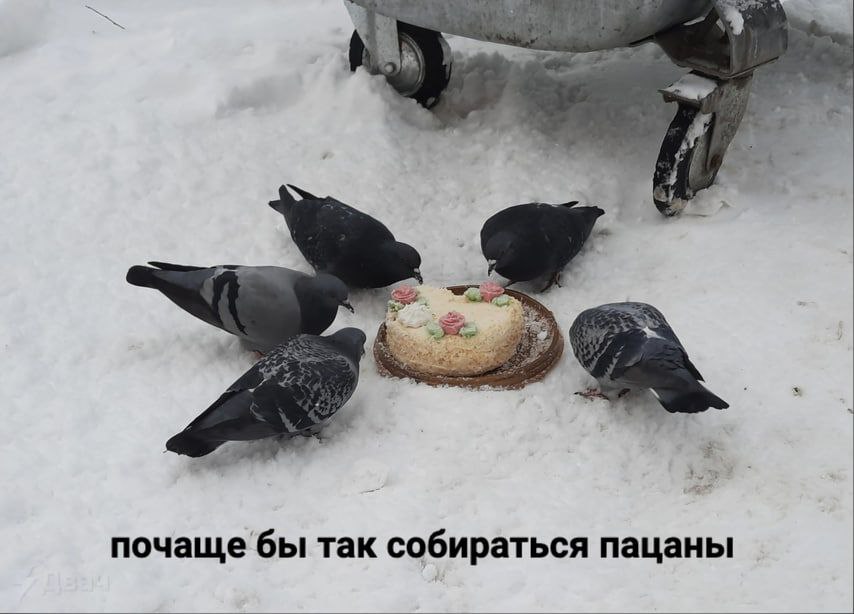 почаще бы так собираться пацаны