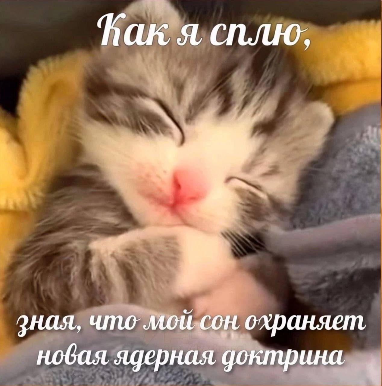 hak я сплю, зная, что мой сон охраняет, новая ядерная доктрина