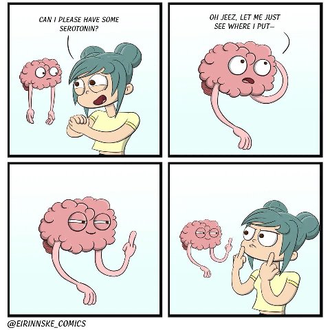 САМ I PLEASE HAVE SOME JEEZ, LET ME JUST SEROTONIN? SEE WHERE PUT— 5 @EIRINNSKE_COMICS