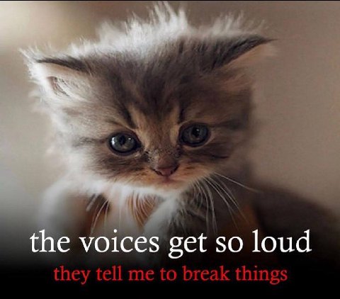 the voices get so loud