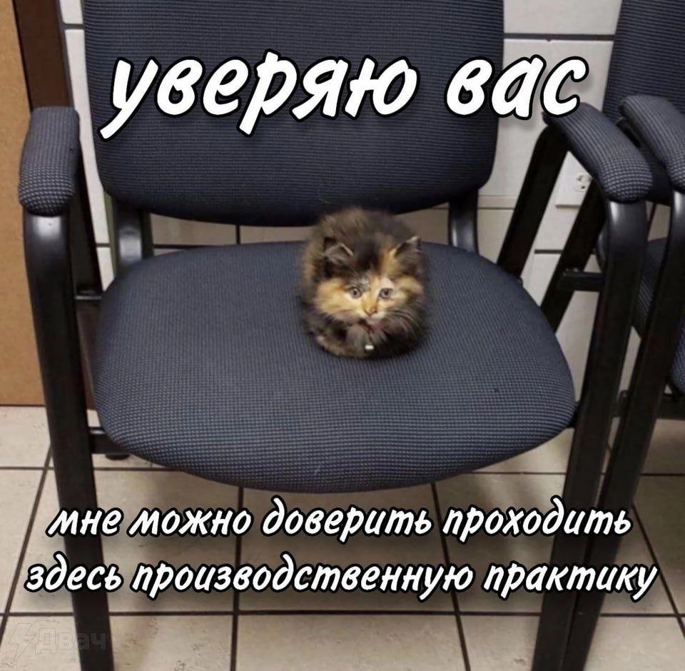 уверяю вас мне можно доверить проходить здесь производственную практику