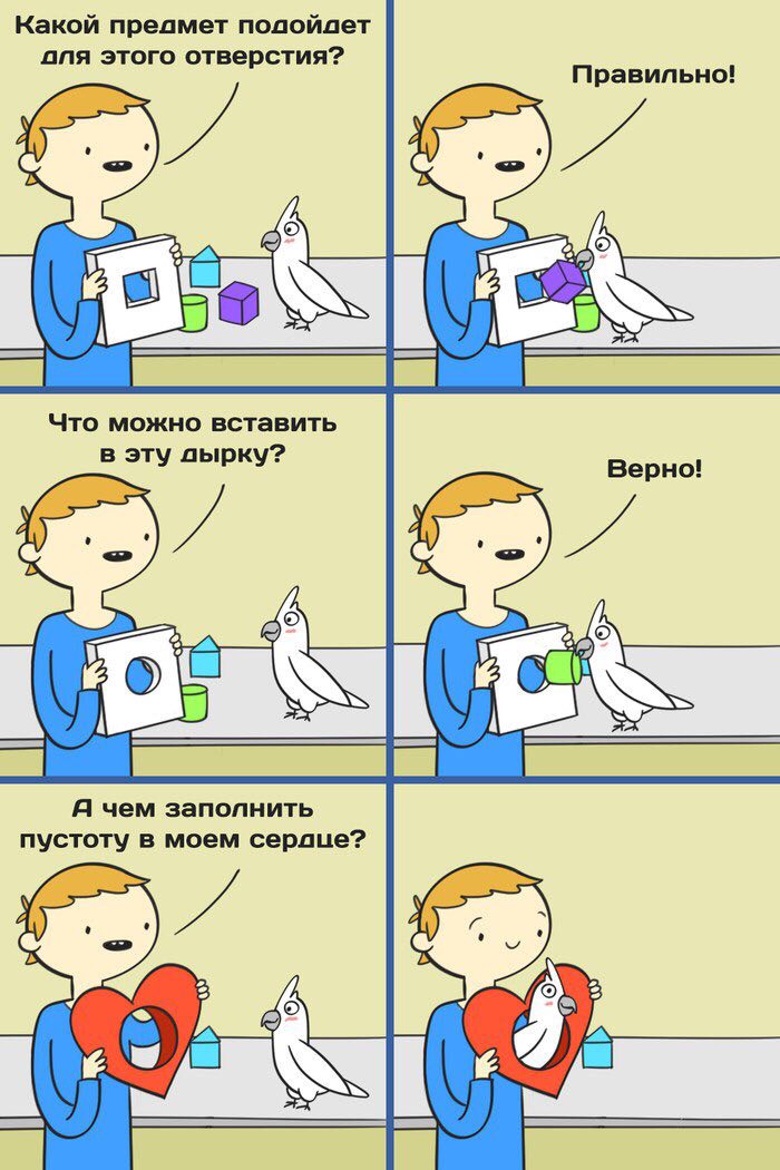 Какой предмет подойдет апя этого отверстия? Правильно! a. Что можно вставить в эту дырку? Верно! Я чем заполнить пустоту в моем
