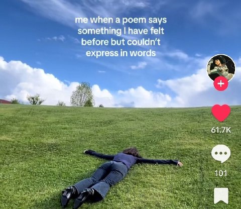 me when а poem says something have felt before but couldn't express in words 101