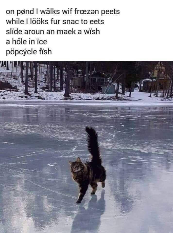 pénd walks wif froezan peets while l66ks fur snac to eets slide aroun an maek a wish a inice рорсусе fish