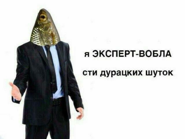 я ЭКСПЕРТ-ВОБЛА сти дурацких шуток