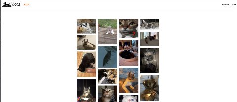 Hello,

1. Kitty cat archive is scheduled to go live soon-ish. Several million kitty cats are good to go

2. We have 241 malware reverse engineering papers in queue to be pushed to vx-underground prod