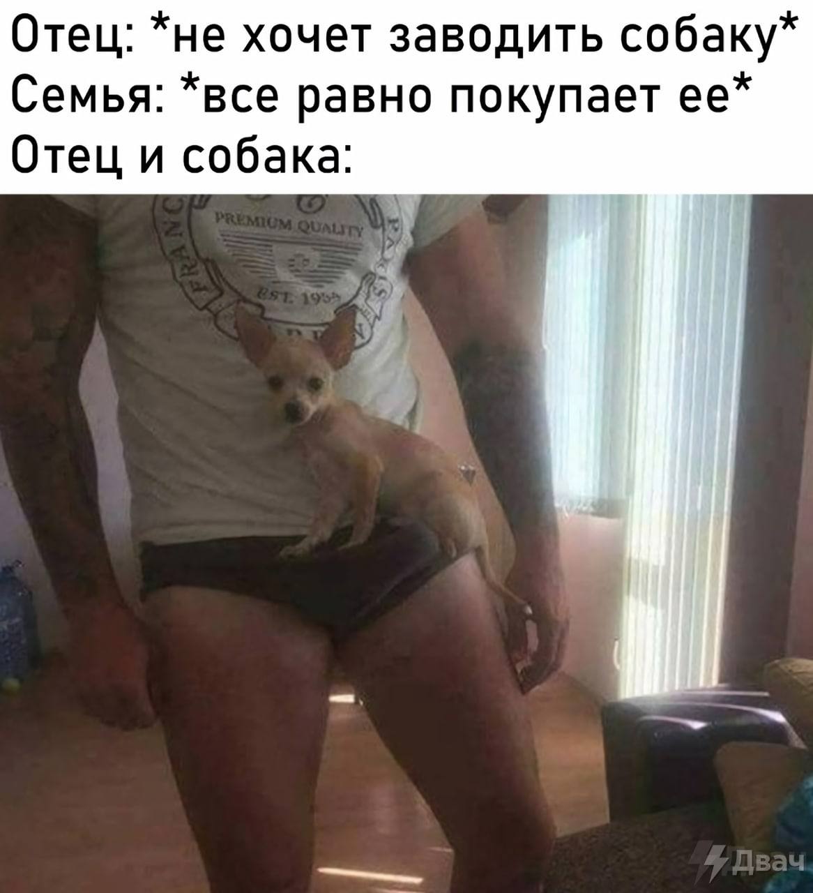 Отец: *не хочет заводить собаку* Семья: *все равно покупает ее* Отец и собака: