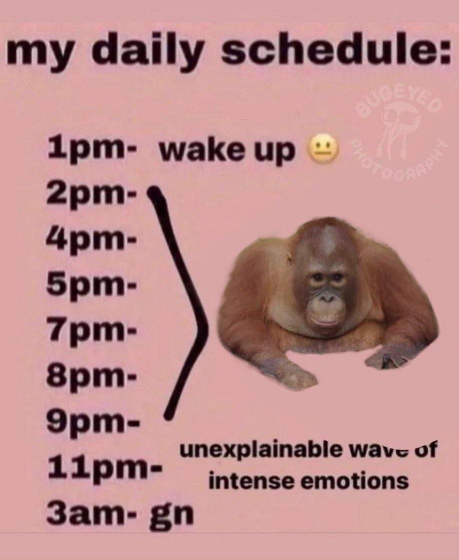 my daily schedule маке Эрт- unexplainable of intense emotions