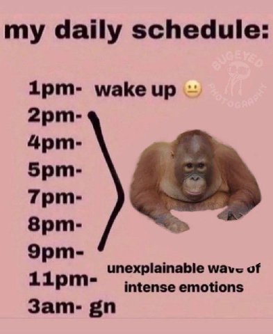 my daily schedule маке Эрт- unexplainable of intense emotions