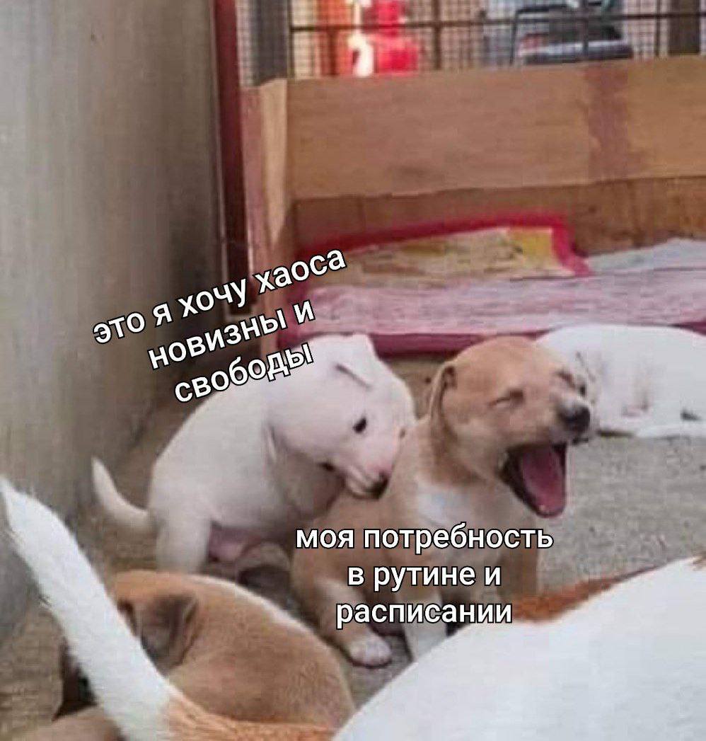 5 а моя потребность рутине и расписании