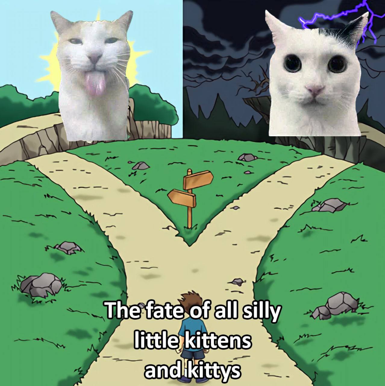 a А littleykittens and kittys