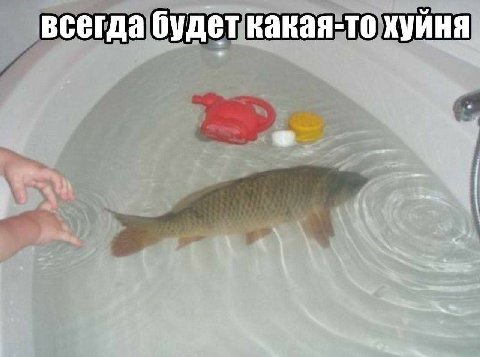 всегда будет какая-то хуйня