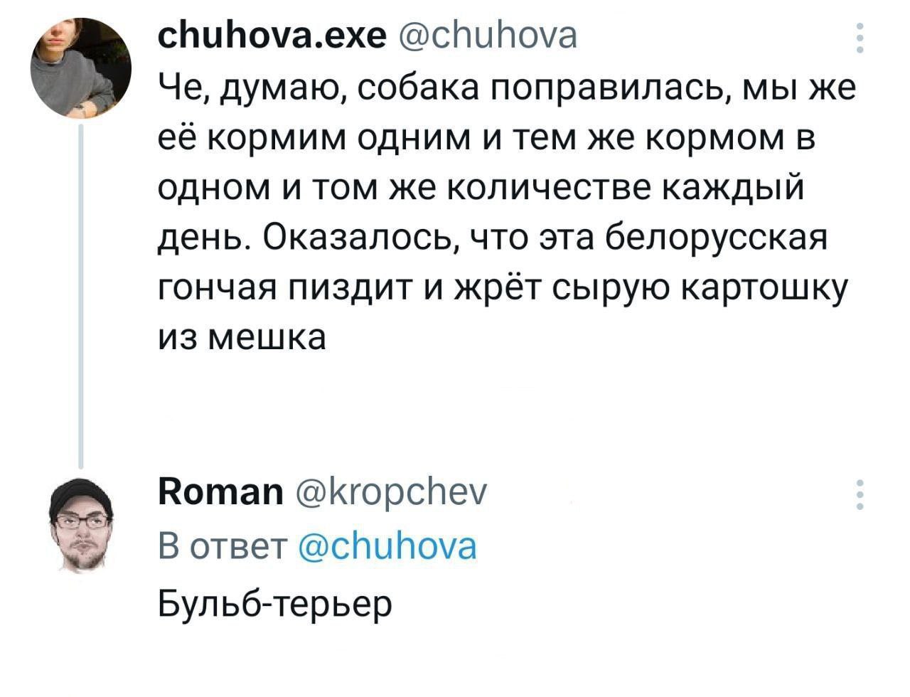 chuhova.exe @chuhova Че, думаю, собака поправилась, мы же её кормим одним и тем же кормом в одном и том же количестве каждый день. Оказалось, что эта белорусская гончая пиздит и жрёт сырую картошку из
