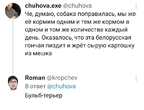 chuhova.exe @chuhova Че, думаю, собака поправилась, мы же её кормим одним и тем же кормом в одном и том же количестве каждый день. Оказалось, что эта белорусская гончая пиздит и жрёт сырую картошку из