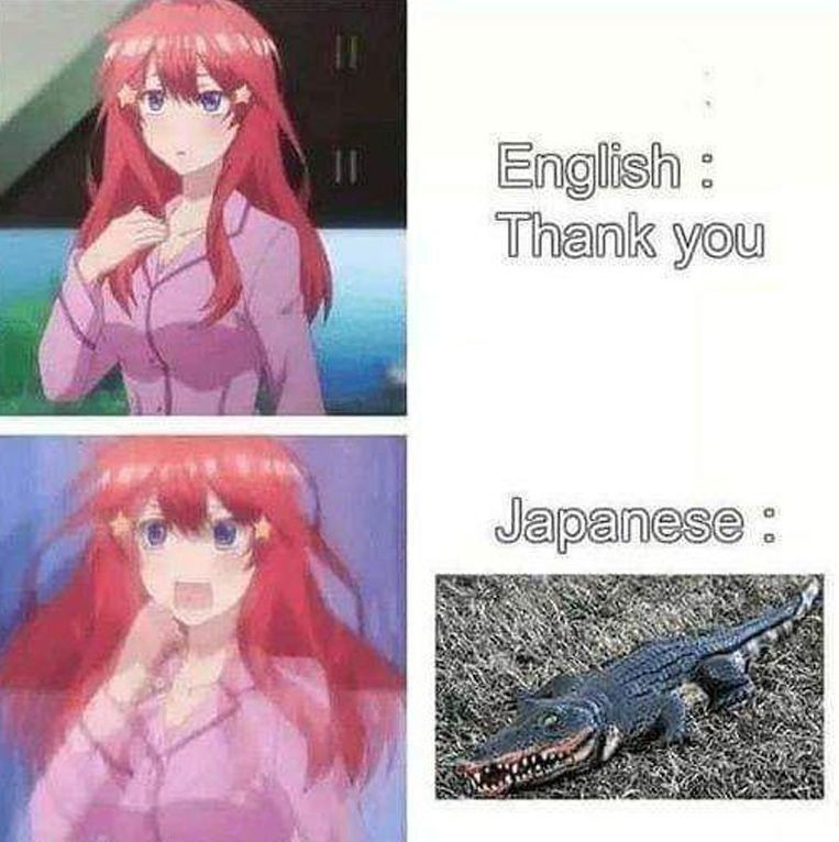 English Thank you 4 Hem чарапезе Fes AN