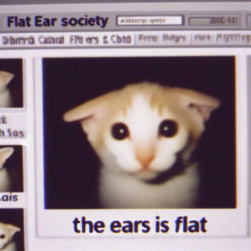 AS a as Be the ears is flat