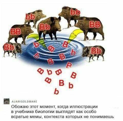 2 о 8 AJANIGOLDMAHE Обожаю этот момент, когда иллюстрации в учебнике биологии выглядят как особо всратые мемы, контекста которых не понимаешь