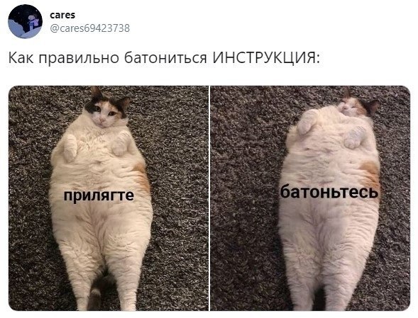 cares 7 @cares69423 Как правильно батониться ИНСТРУКЦИЯ: ягте ьте