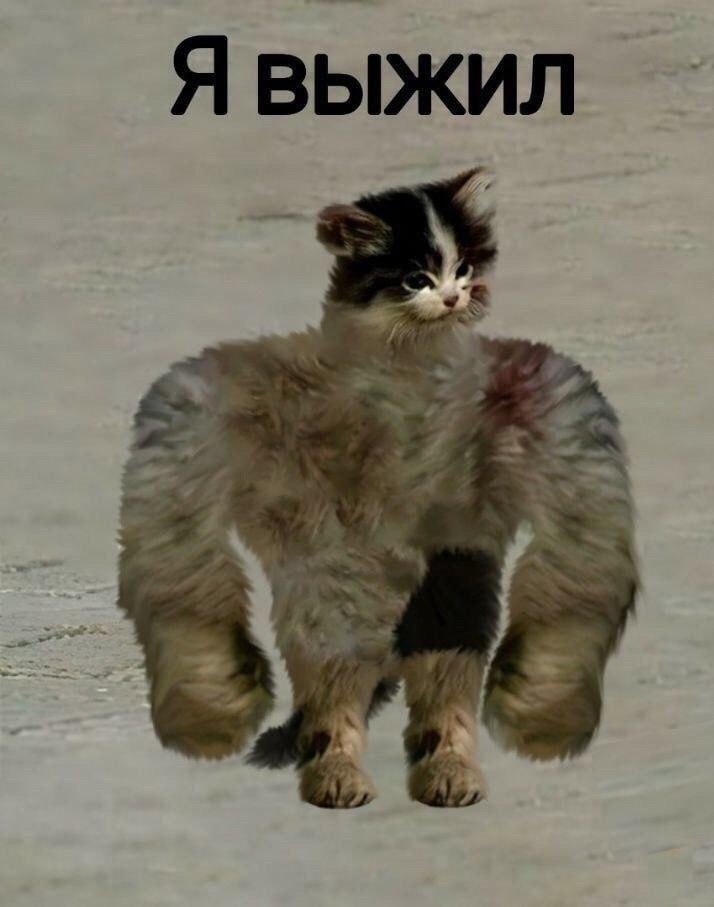 Я ВЫЖИЛ Rui