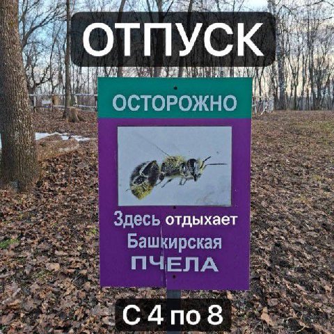 ОТПУСК и ОСТОРОЖНО есь отдыхает