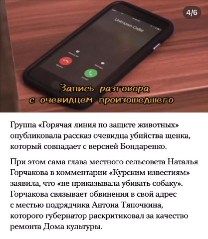 Группа «Горячая линия по защите животных» опубликовала рассказ очевидца убийства щенка, который совпадает с версией Бондаренко. При этом сама глава местного сельсовета Наталья Горчакова в комментарии