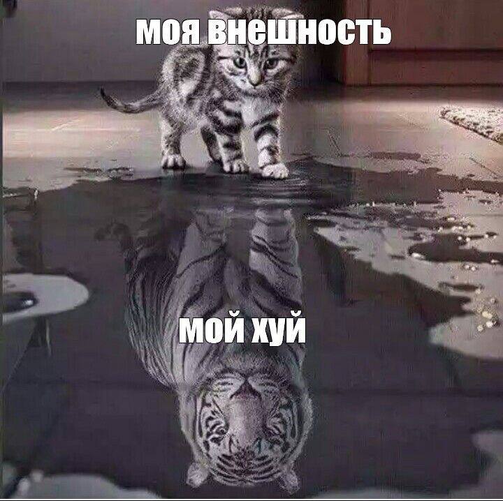 моя Внешность МОИ хуи
