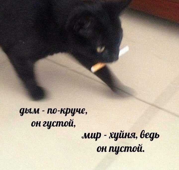 он густой, он пустой