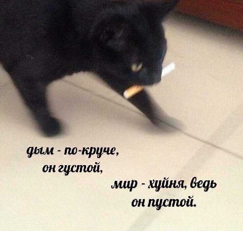 он густой, он пустой