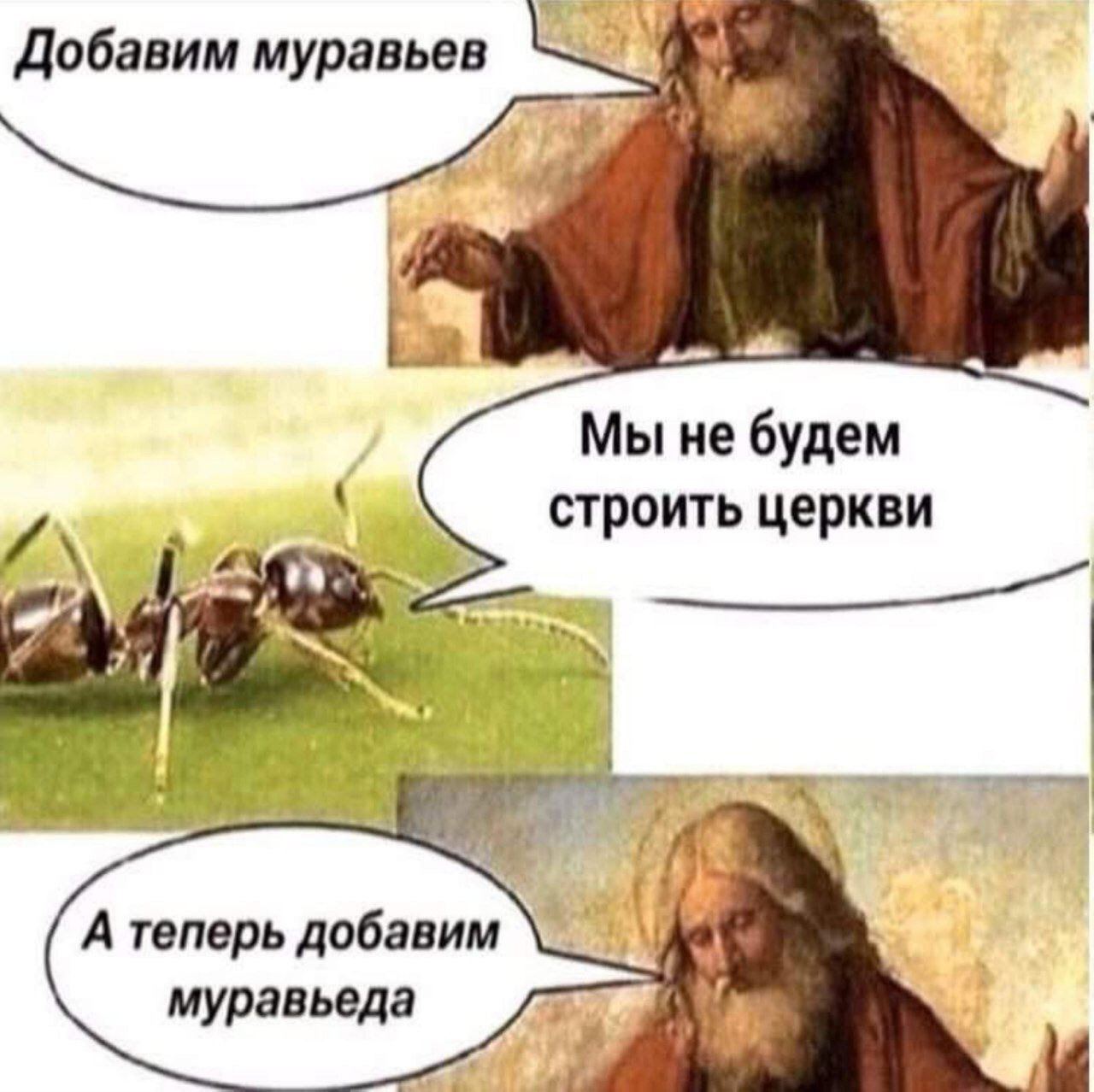 Добавим муравьев Мы не будем строить церкви А теперь добавим муравьеда