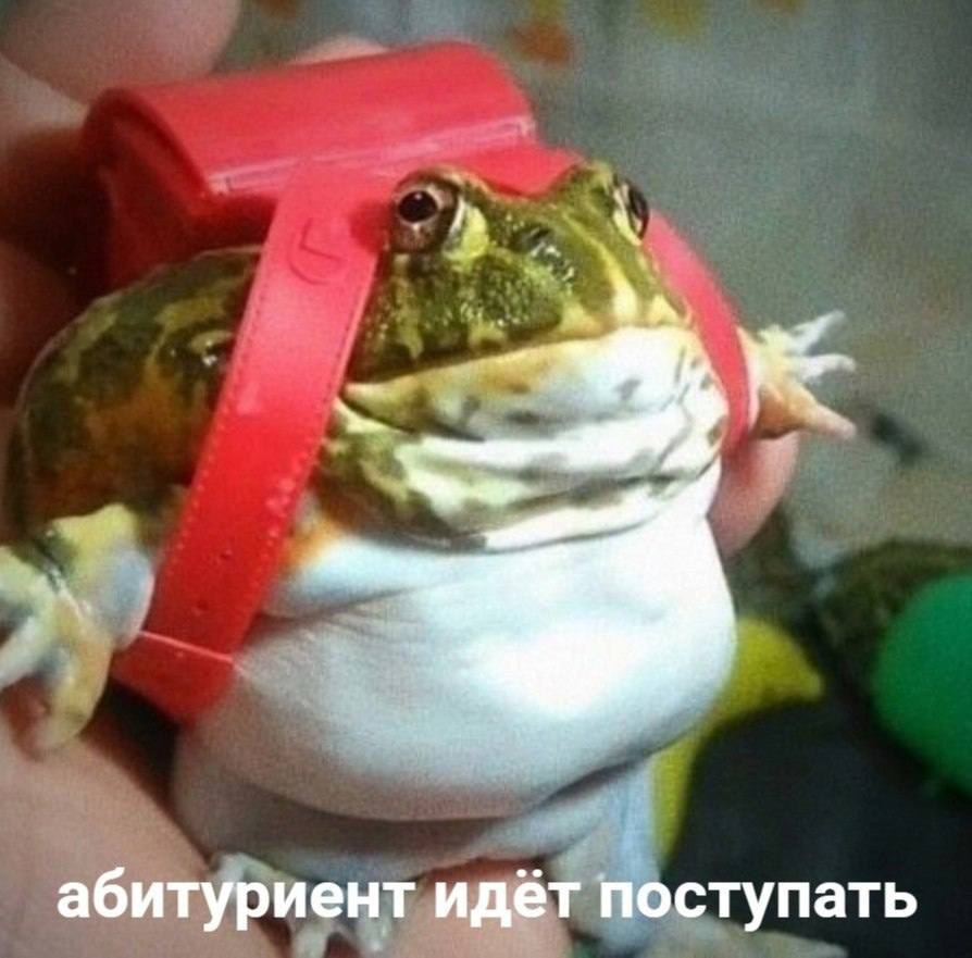 абитуриент идёт поступать
