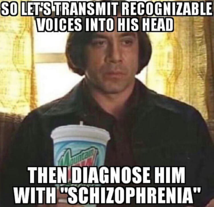 VOICES HEAD THEN DIAGNOSE HIM