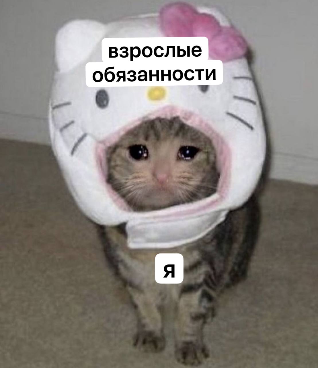 взрослые обязанности