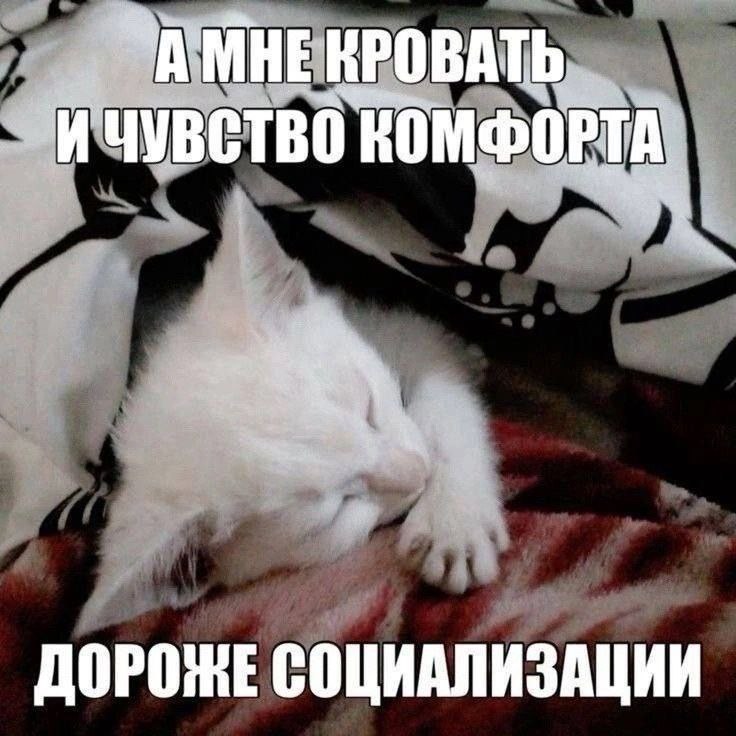 КРОВАТЬ НОМФОРТА. ДОРОЖЕ СОЦИАЛИЗАЦИИ