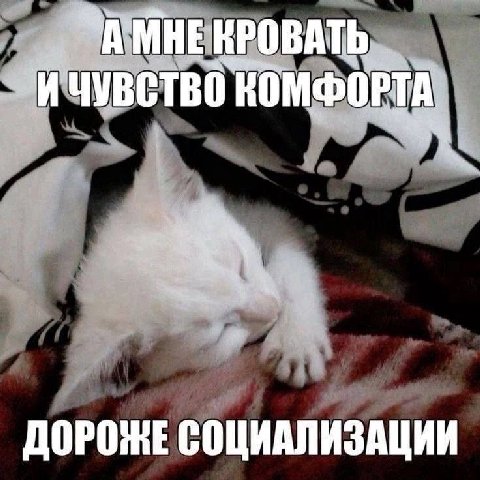 КРОВАТЬ НОМФОРТА. ДОРОЖЕ СОЦИАЛИЗАЦИИ