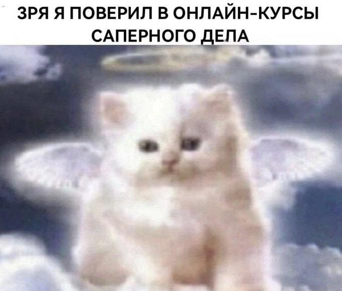 ЗРЯ Я ПОВЕРИЛ В ОНЛАЙН-КУРСЫ САПЕРНОГО ДЕПА 4