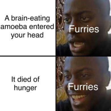 А brain-eating amoeba entered Furries your head К died of hunger Furries