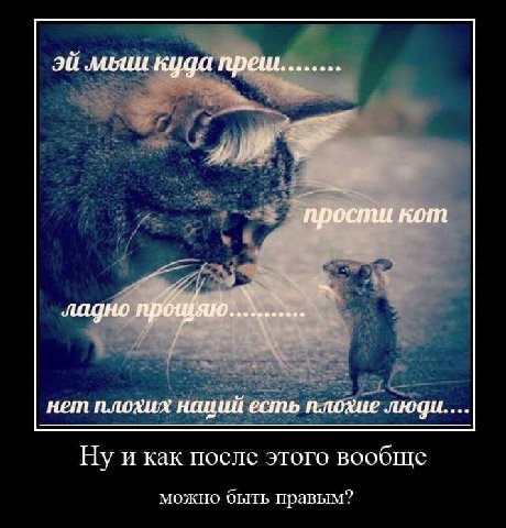 прости кот ладно i eee нет плохих наций есть плохие Ну и как после этого вообще можно правым?