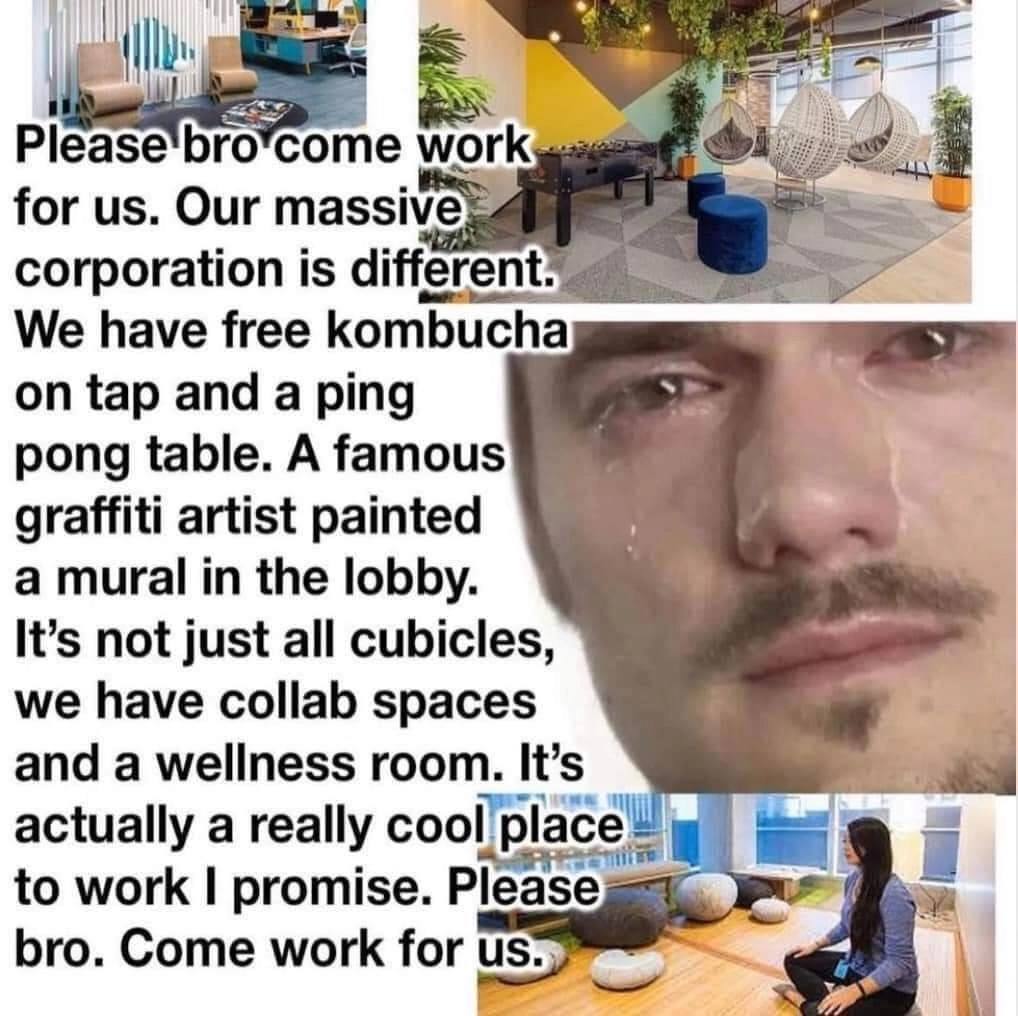 Please'bro*come work for Our corporation is different We have free kombucha on tap and a ping pong table. A famous graffiti artist painted a mural in the lobby. It’s not just all cubicles, we have col