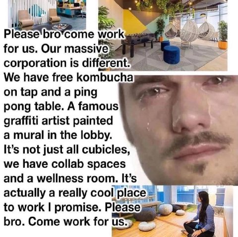 Please'bro*come work for Our corporation is different We have free kombucha on tap and a ping pong table. A famous graffiti artist painted a mural in the lobby. It’s not just all cubicles, we have col
