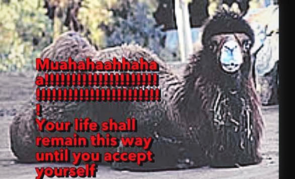 У bad У 7 4 4