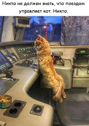 Никто не должен знать, что поездом управляет кот. Никто. у
