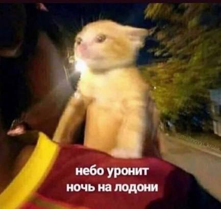 муд