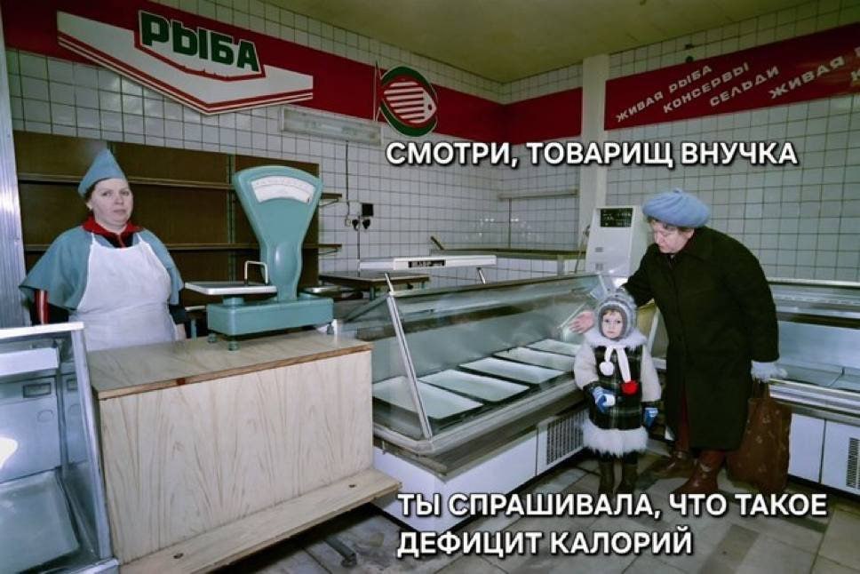 СМОТРИ, ТОВАРИЩ ВНУЧКА ТЫ СПРАШИВАЛА, ЧТО ТАКОЕ ДЕФИЦИТ КАЛОРИЙ
