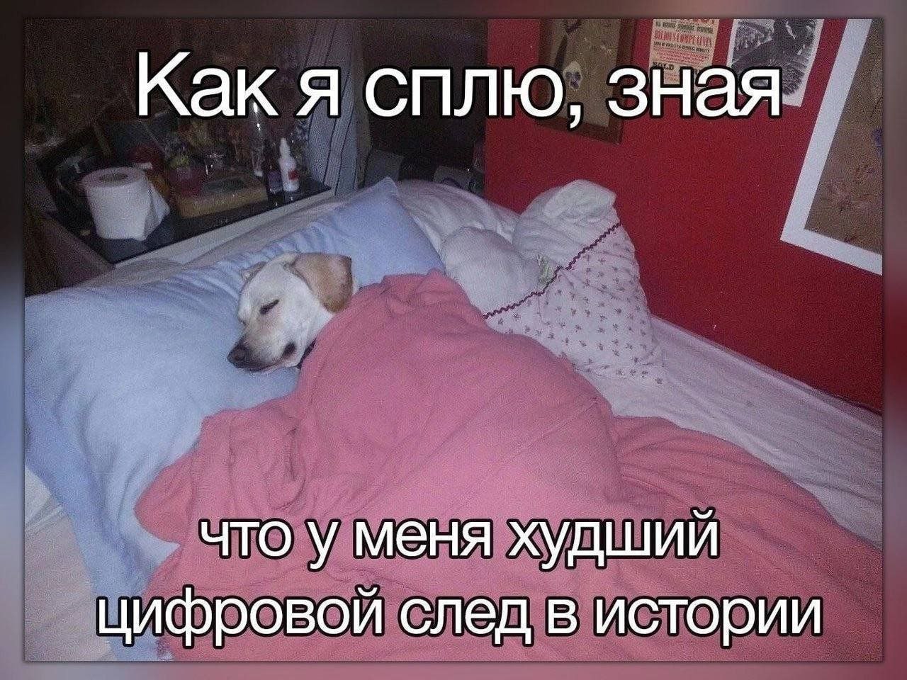 Как я сплю, зная что у меня худший цифровой след в истории