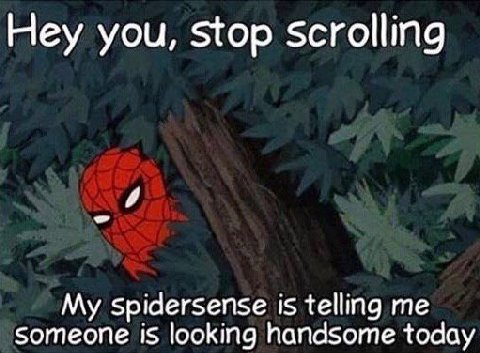 Hey you, stop scrolling My Spidersense is telling me someone is looking handsome today