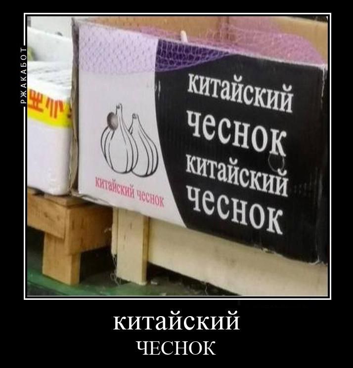 Чеснок КИЙ китайский ЧЕСНОК