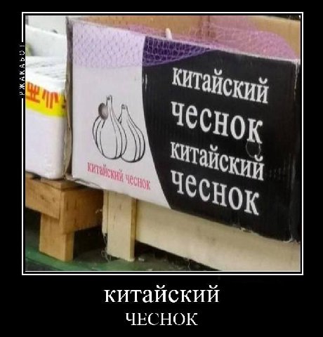 Чеснок КИЙ китайский ЧЕСНОК