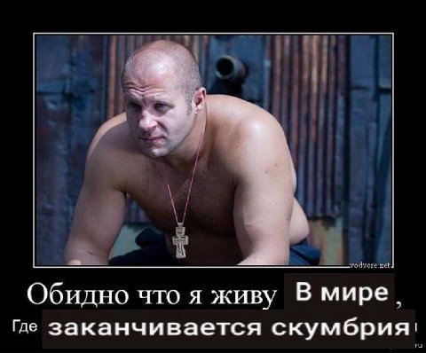 Обидно что я живу В мире. Где заканчивается скумбрия