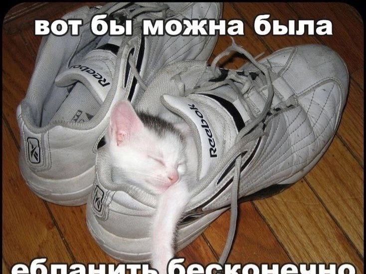 вот бы можна была